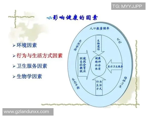 探索小空间体育运动项目的多样性与创新性提升健康生活方式的可能性